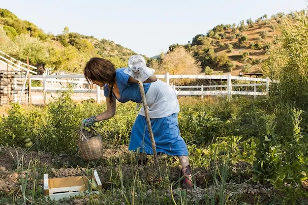 afilar guadaña correctamente para un trabajo eficiente en el campo